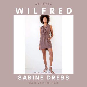 Aritzia Wilfred Sabine Dress